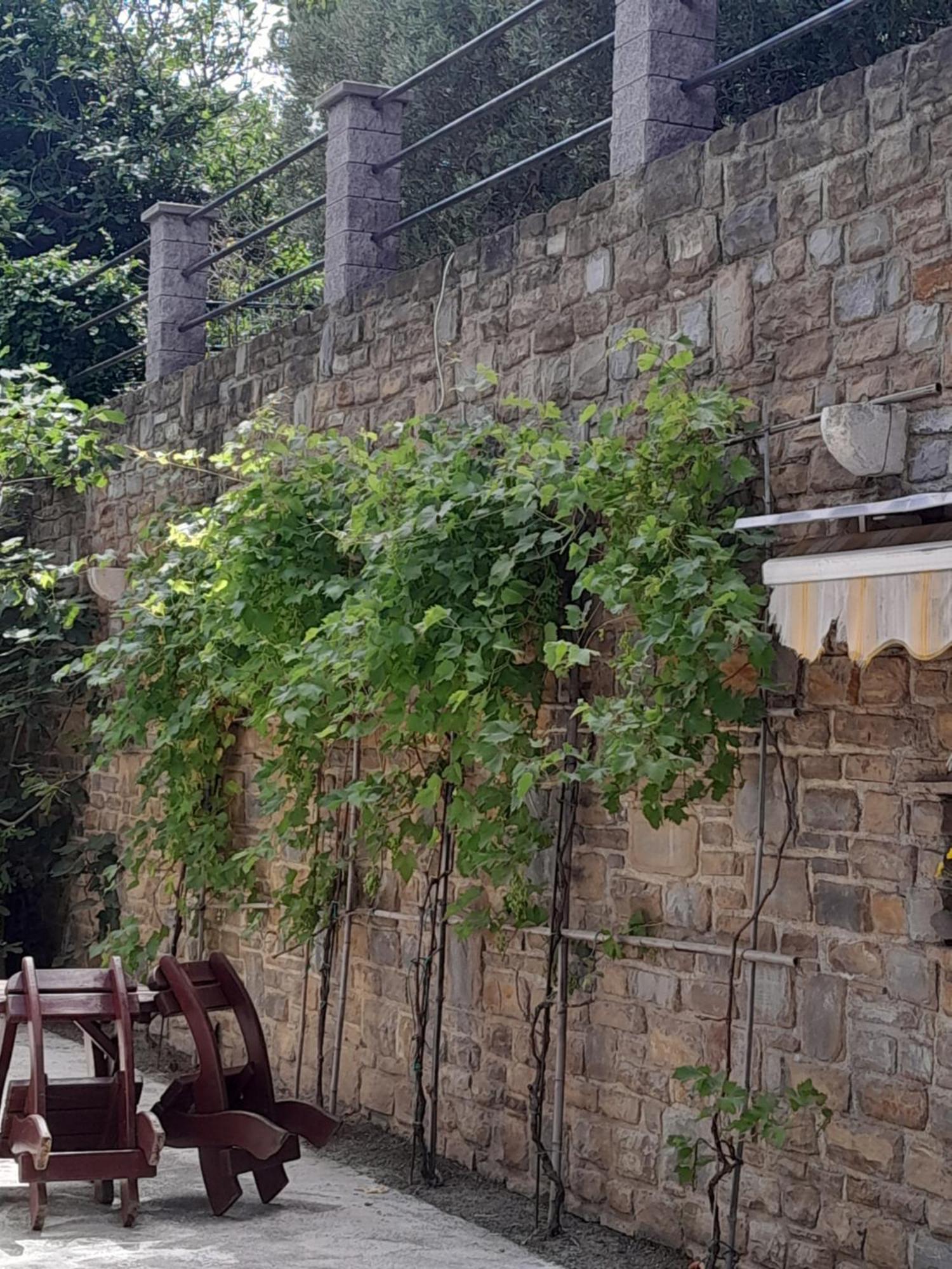 Apartmaji Strunjan Buitenkant foto